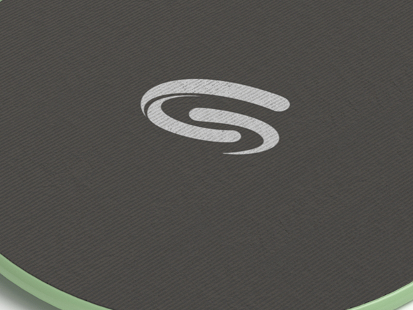 CFS22006 Core sliding disc manufacturer 3